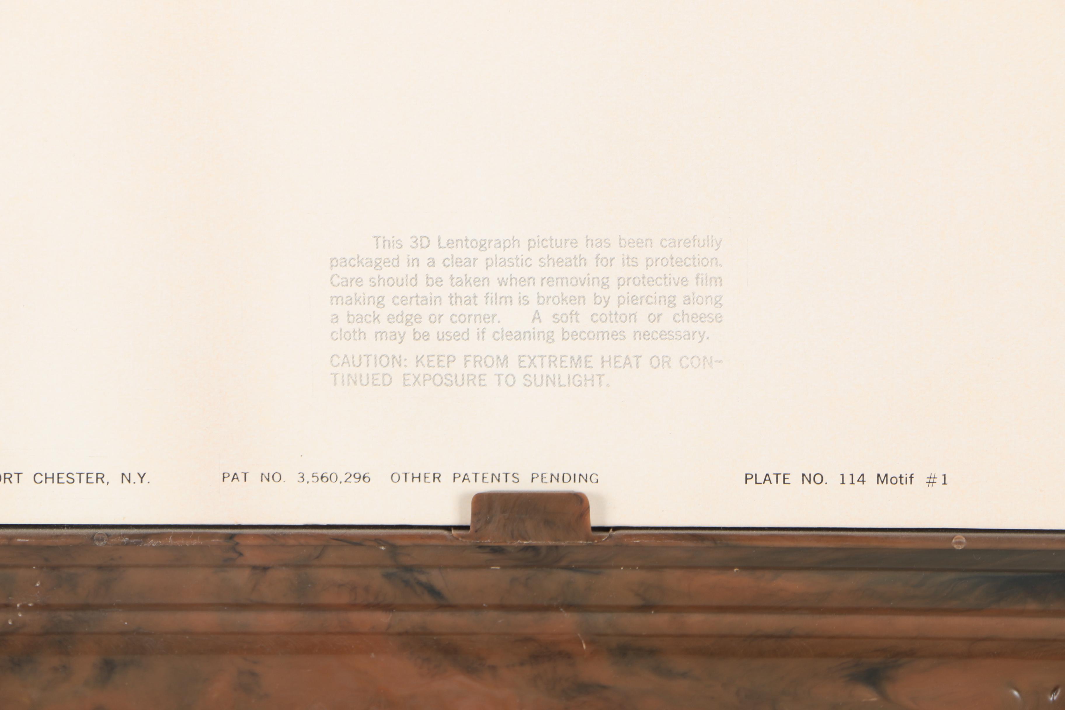 Lenticular Boat Print