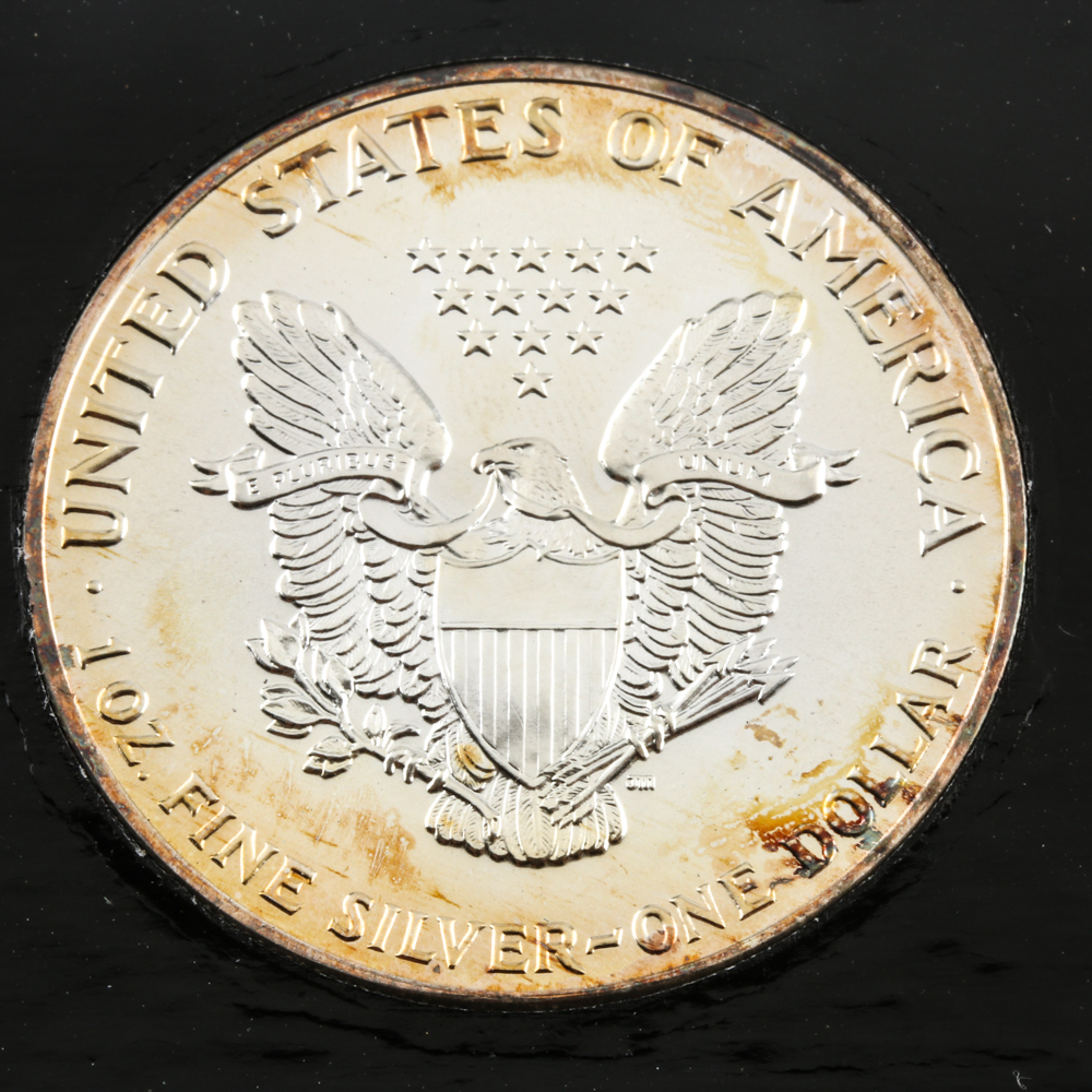 1989 One Dollar U.S. Silver Eagle