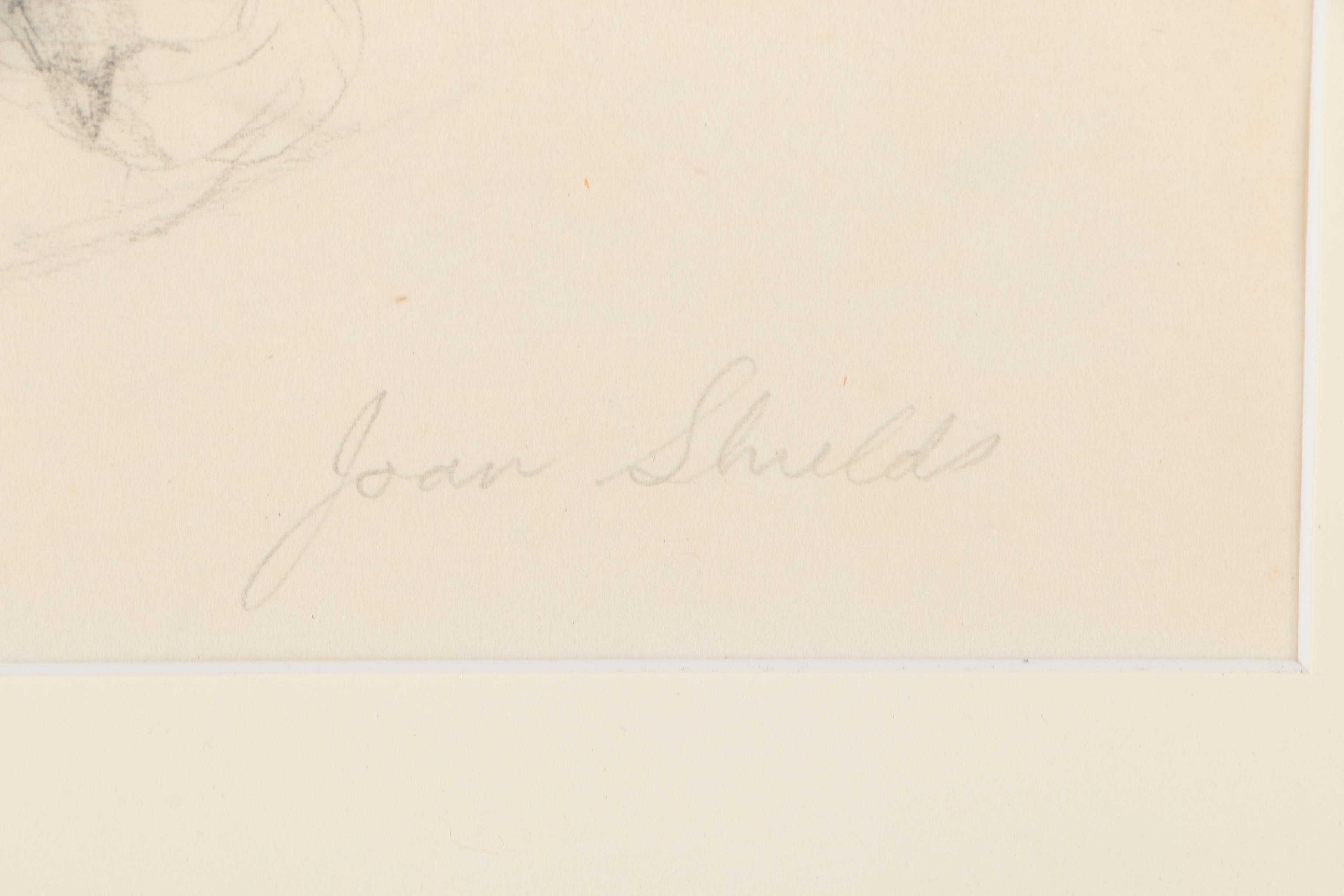 Joan Shields Pencil Drawing of Seated Woman in Shawl