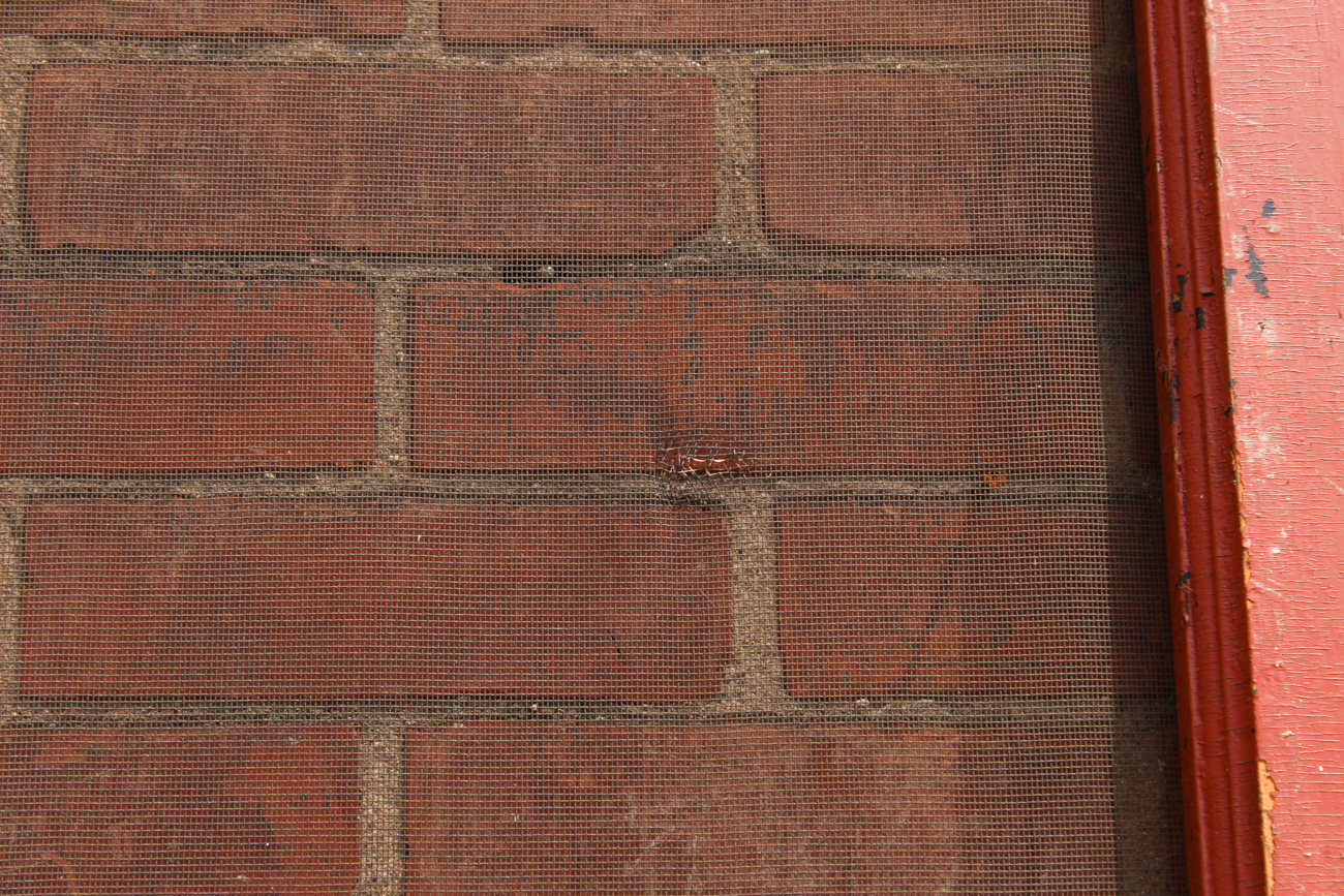 Vintage Red Screen Door