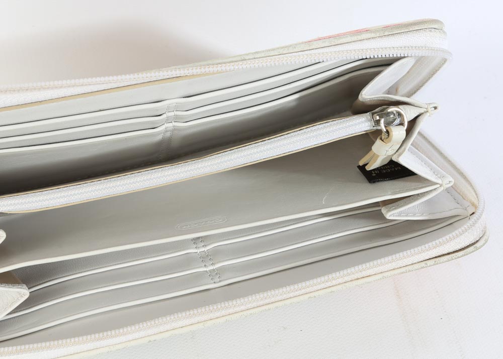 Coach Signature Scribble Hampton Tote and Wallet