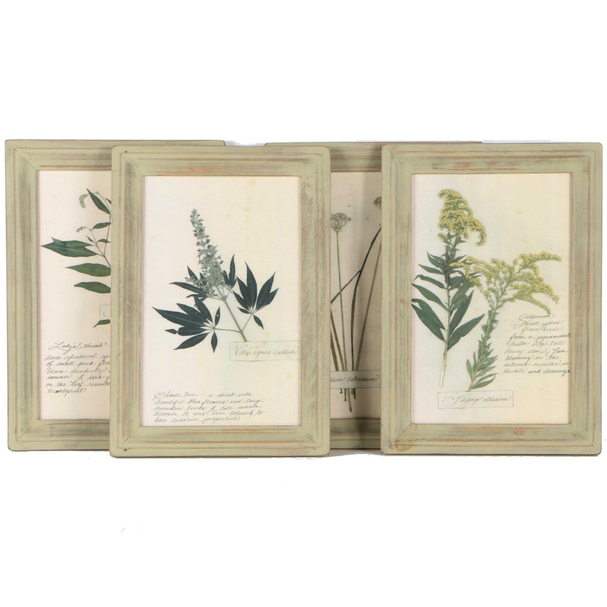 Four Offset Lithographs on Paper After Pressed Plants