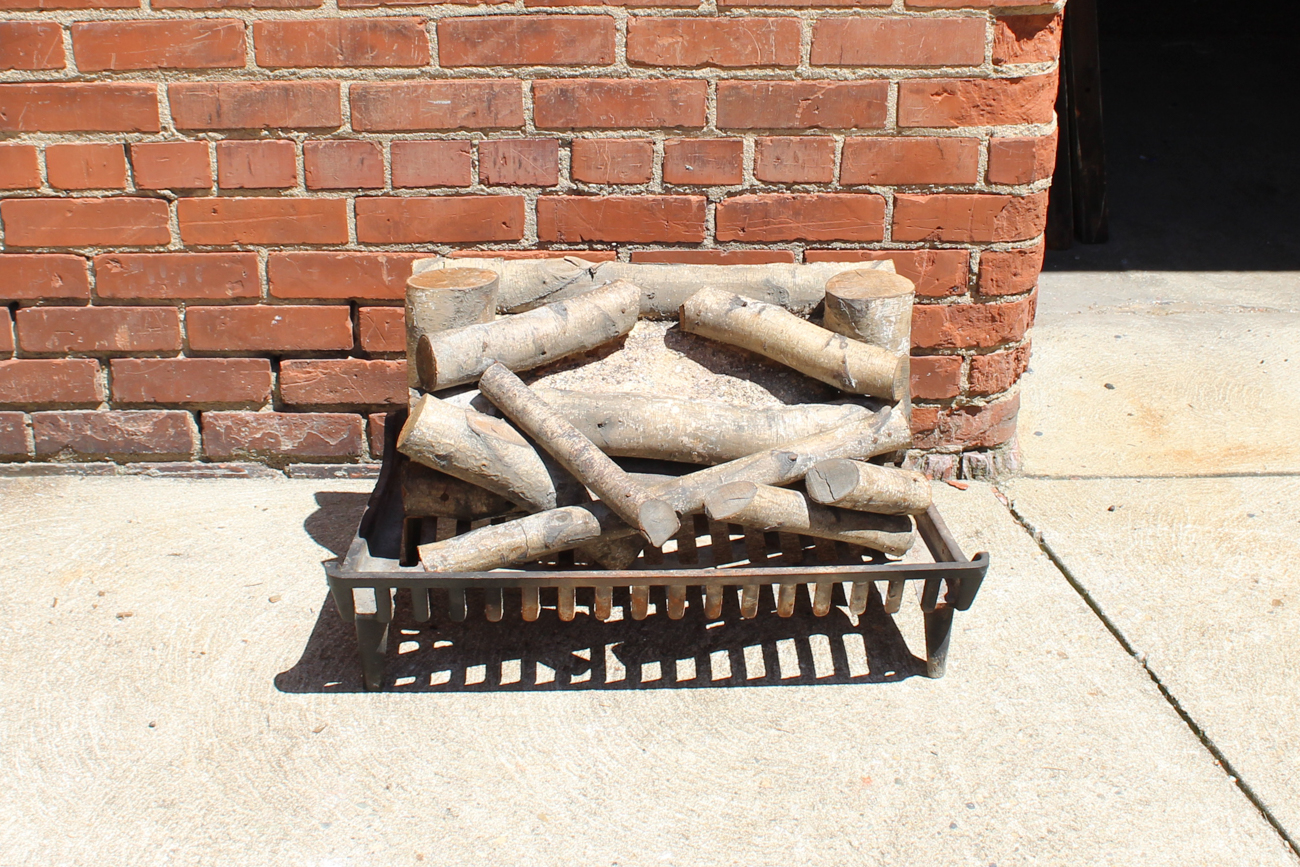 Electric Fireplace Logs with Cast Iron Grate