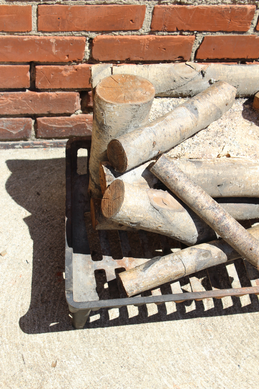 Electric Fireplace Logs with Cast Iron Grate