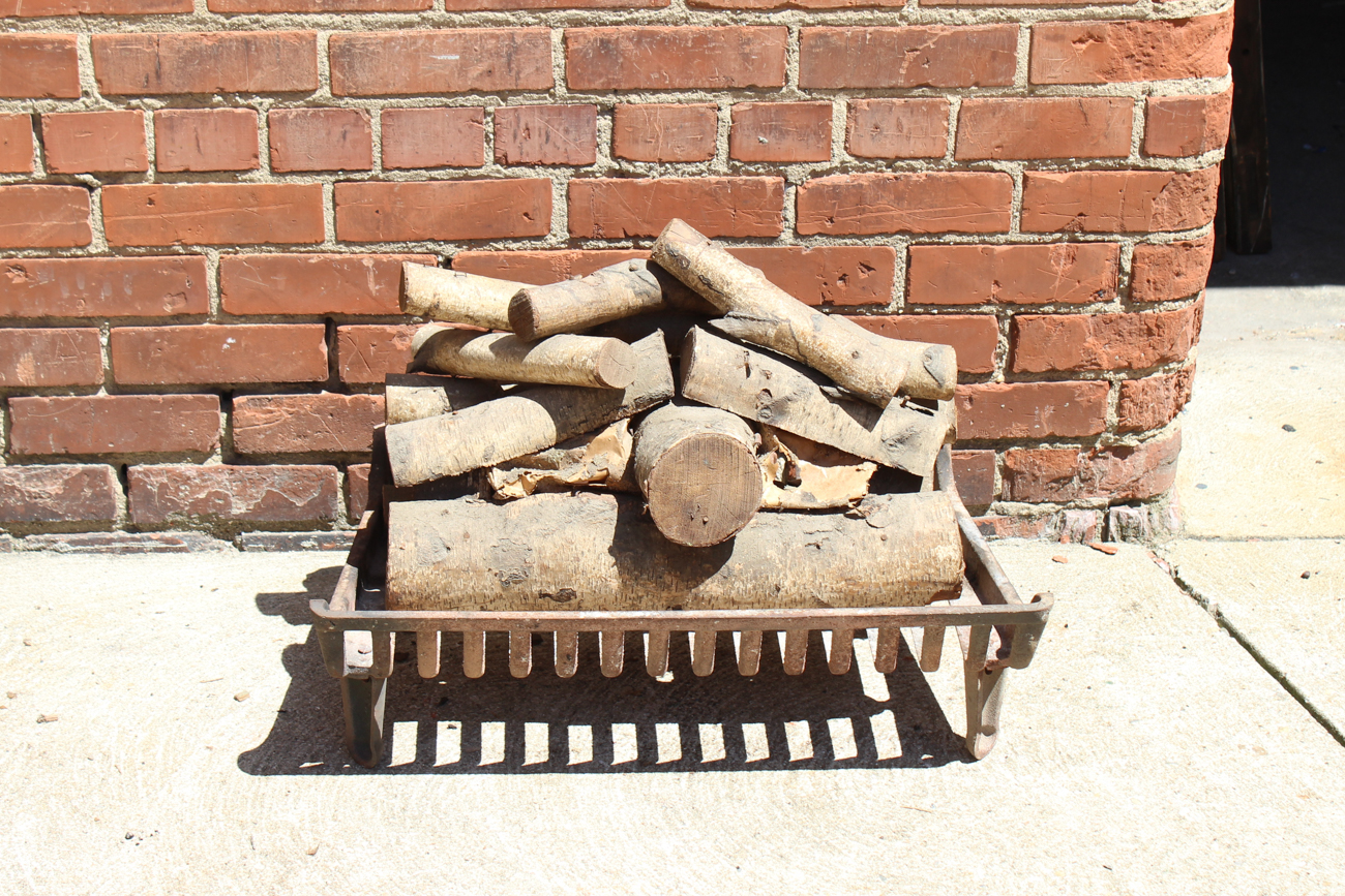 Electric Fireplace Logs With Cast Iron Grate