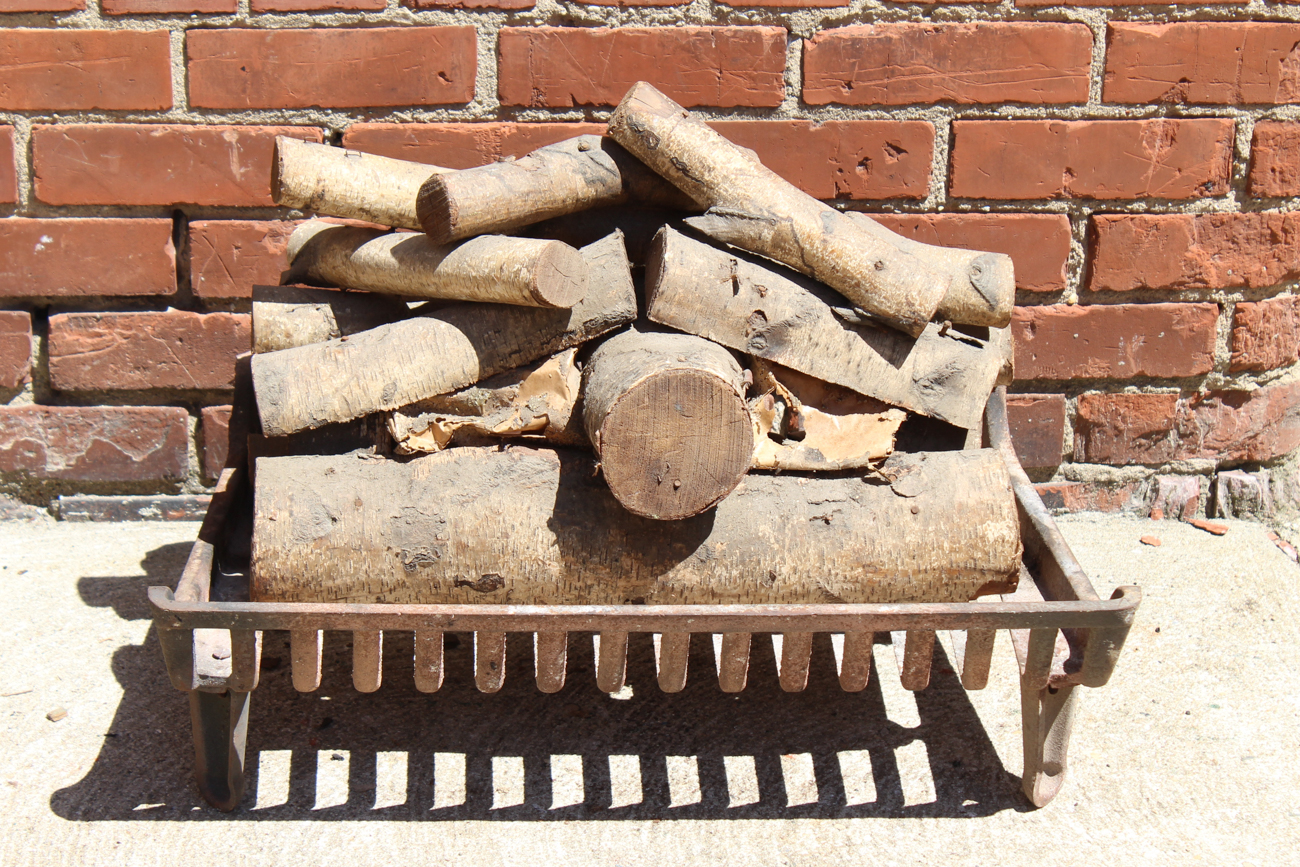 Electric Fireplace Logs With Cast Iron Grate