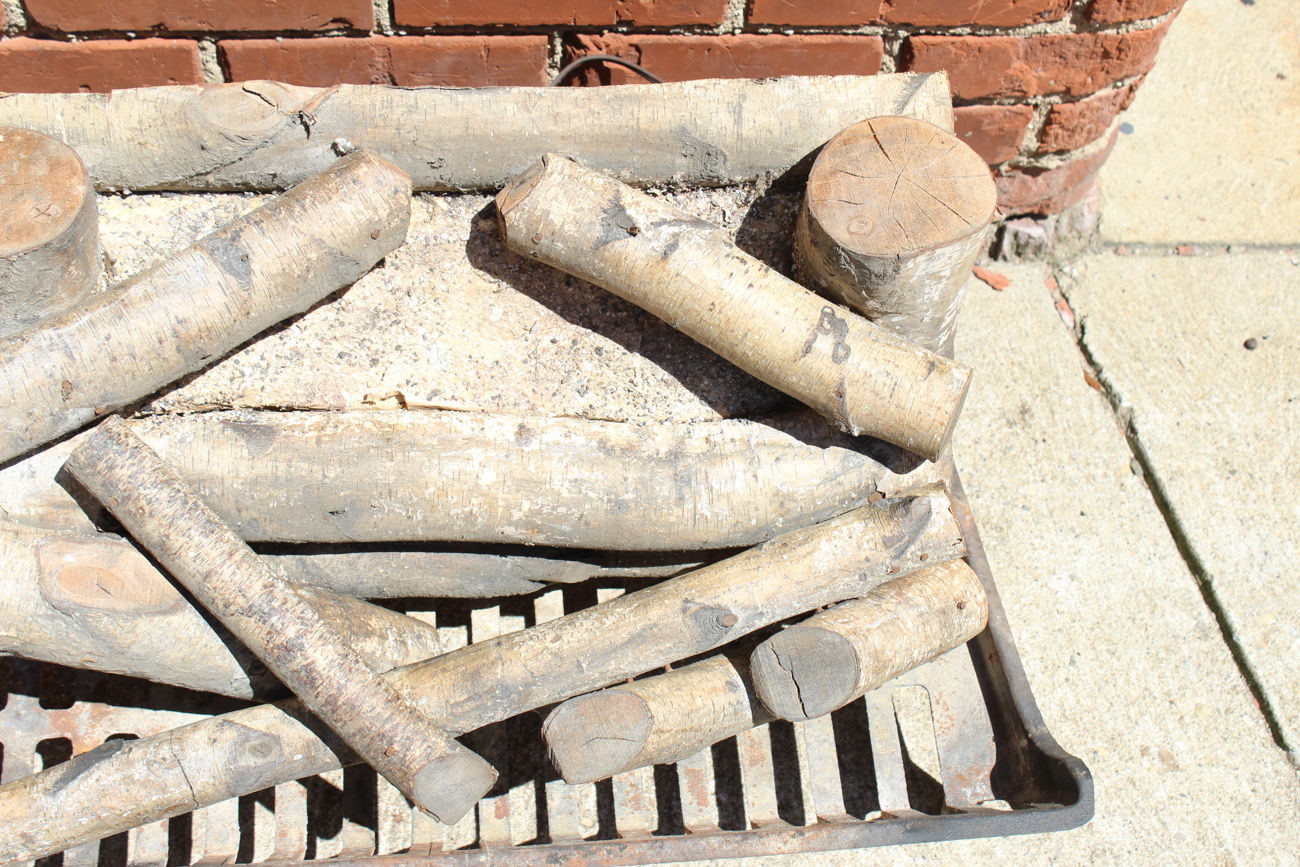 Electric Fireplace Logs with Cast Iron Grate