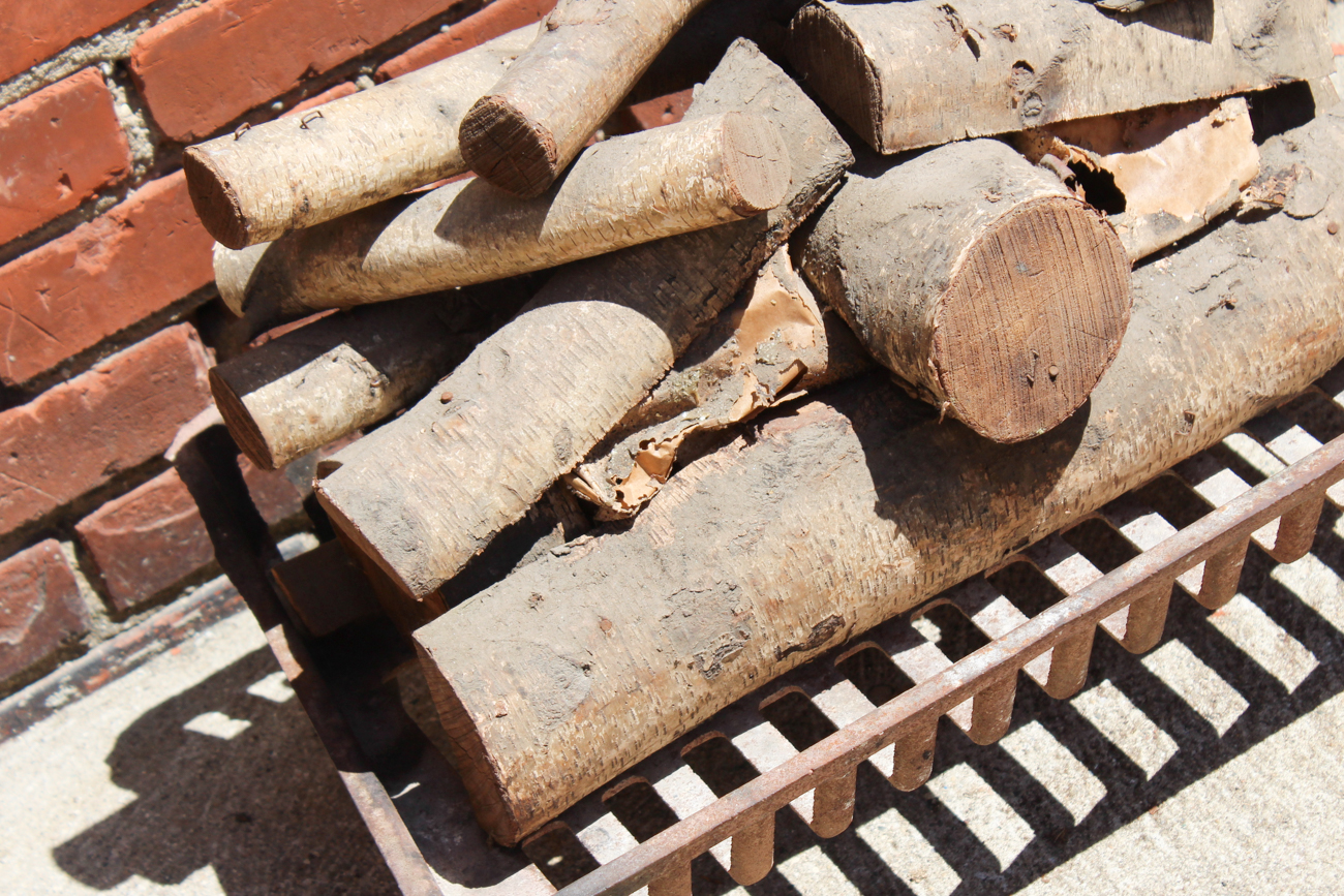 Electric Fireplace Logs With Cast Iron Grate