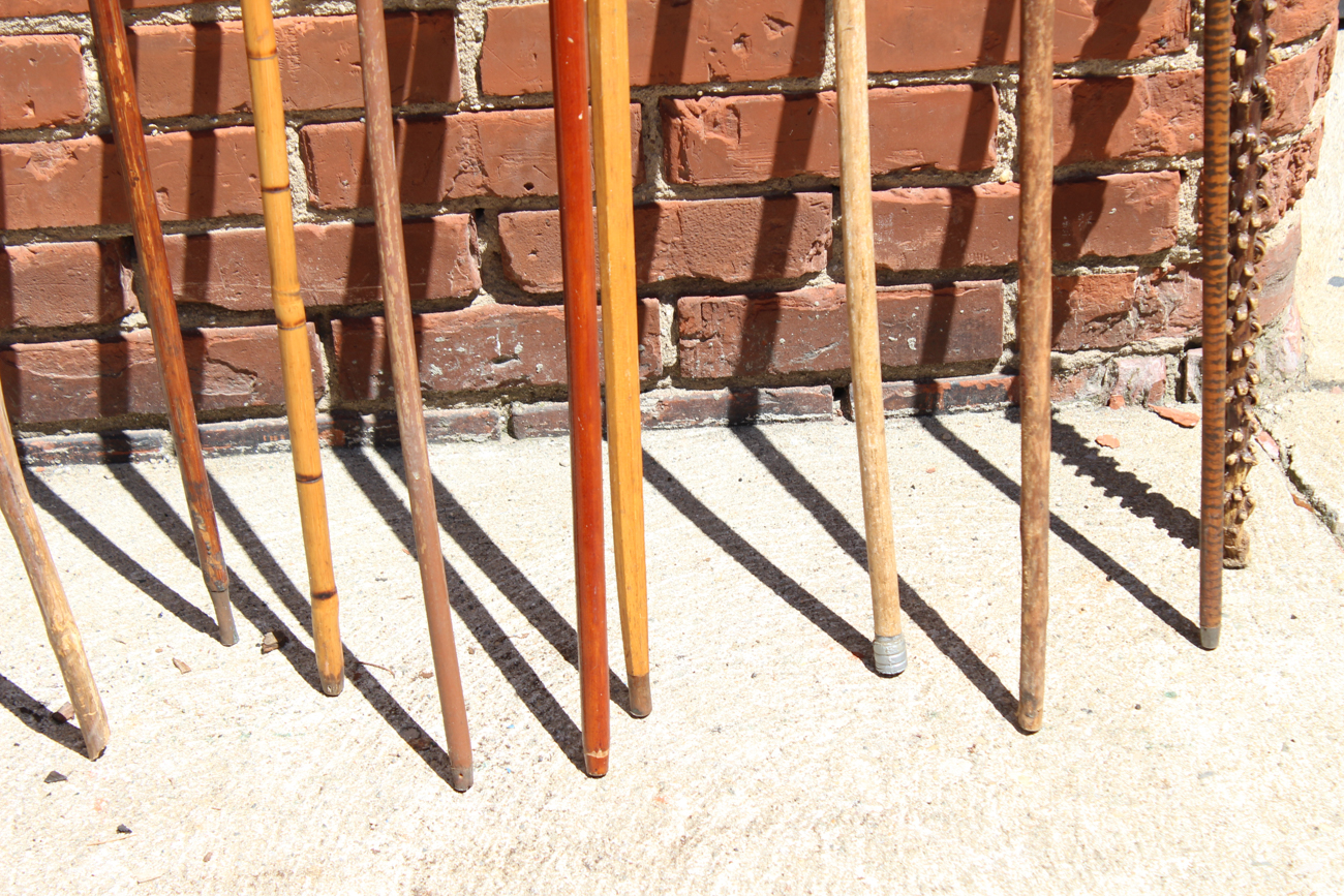 Vintage and Antique Bentwood Canes