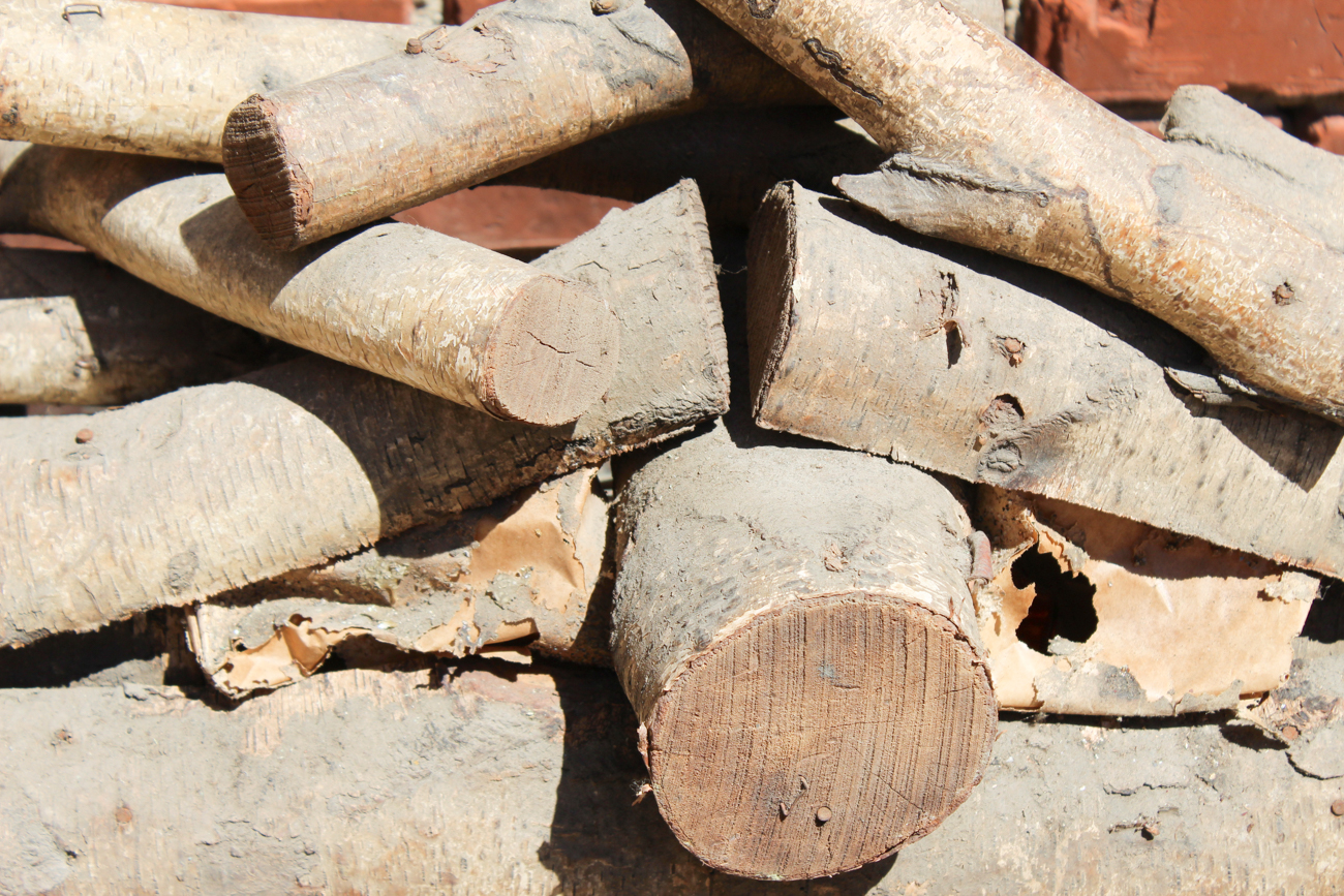 Electric Fireplace Logs With Cast Iron Grate