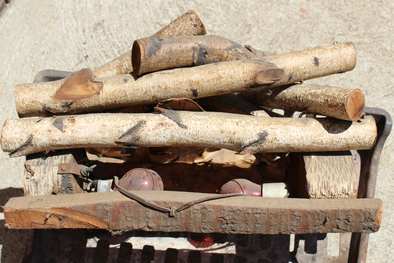 Electric Fireplace Logs With Cast Iron Grate