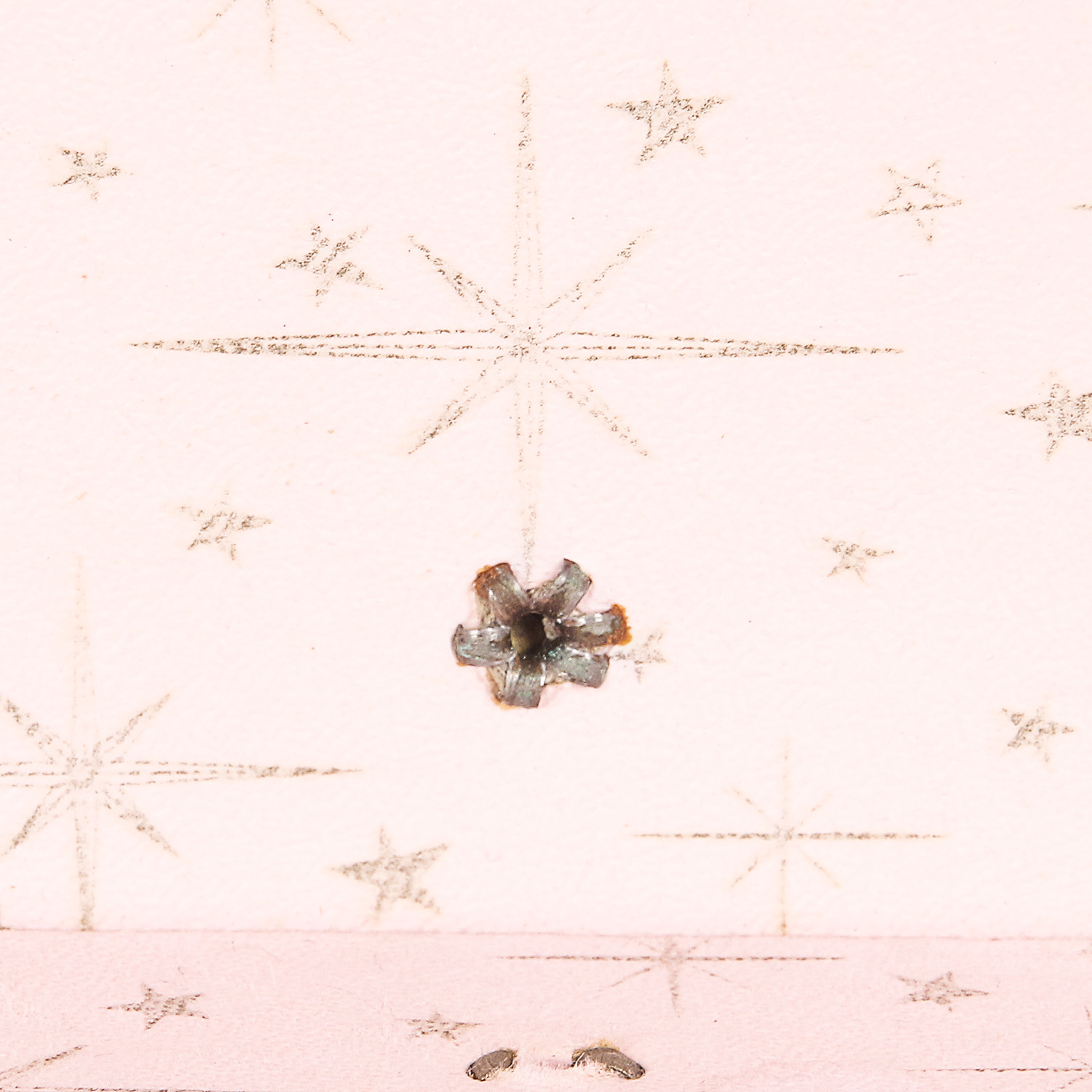 Collection of Annie and Sandy Stuffed Animals