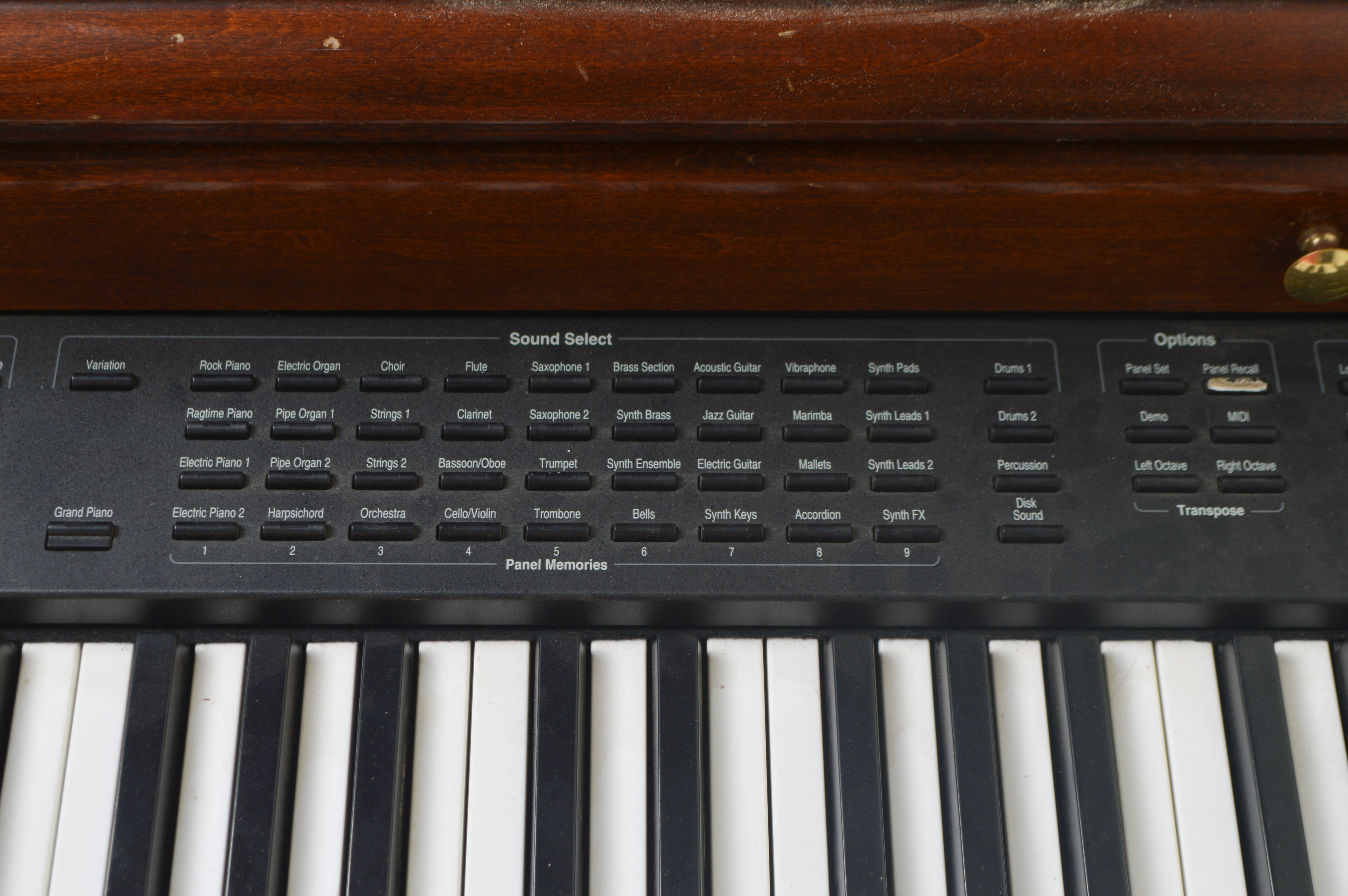 Kurzweil Electric Piano