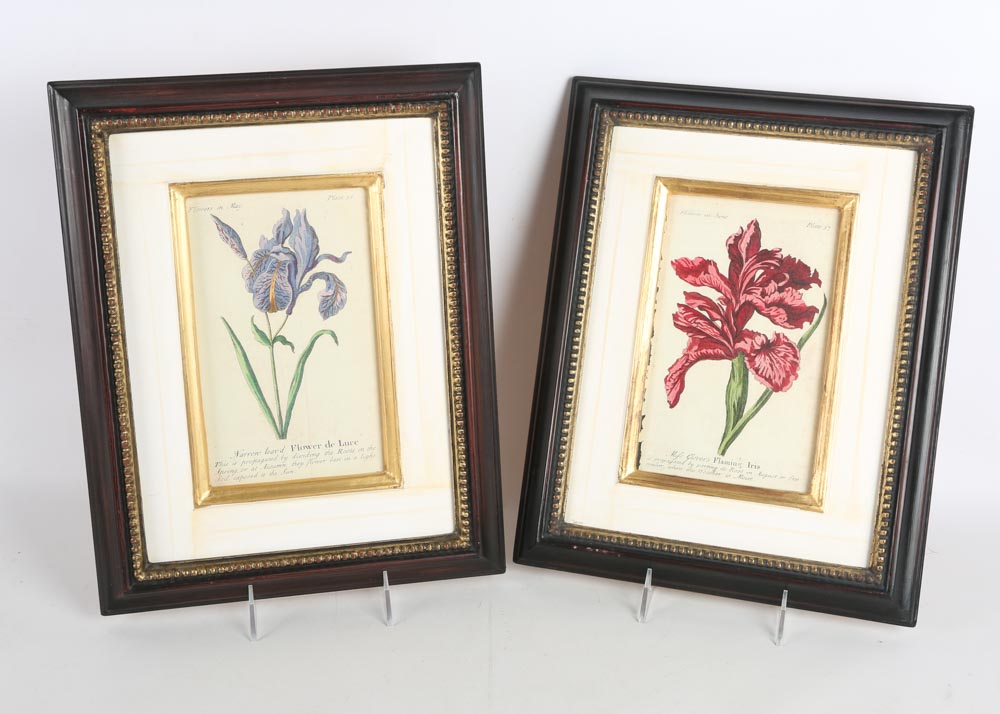 Trowbridge Framed Botanical Offset Lithographs and Wall Sconces