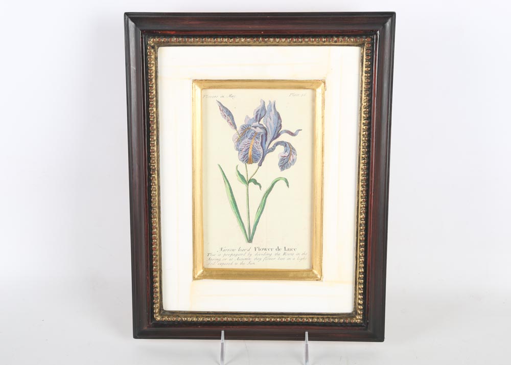 Trowbridge Framed Botanical Offset Lithographs and Wall Sconces