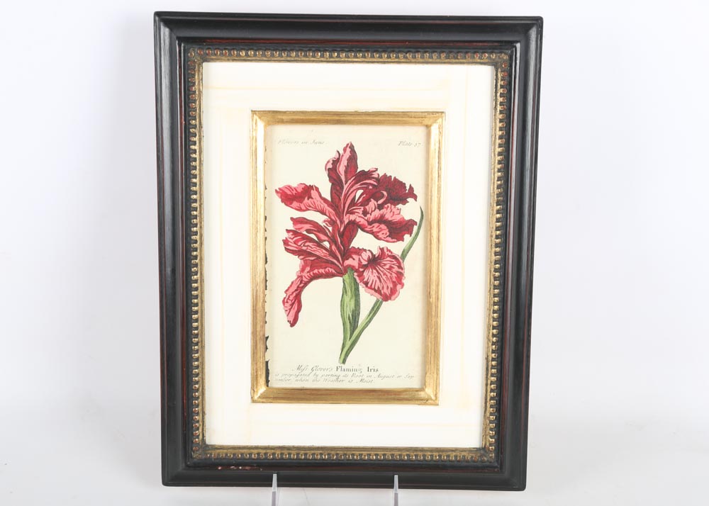 Trowbridge Framed Botanical Offset Lithographs and Wall Sconces
