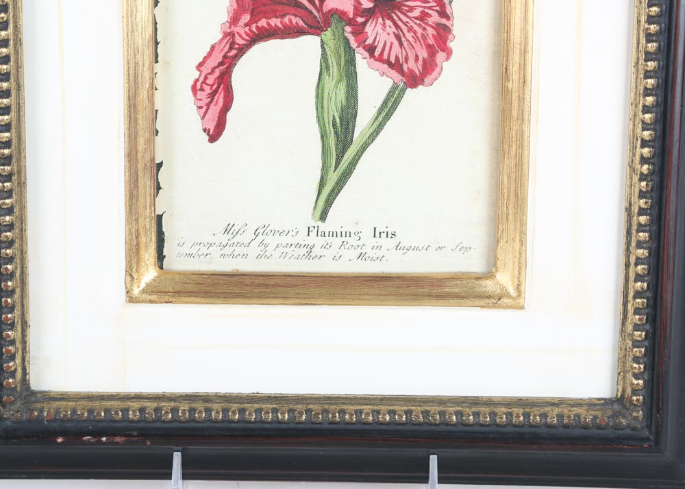 Trowbridge Framed Botanical Offset Lithographs and Wall Sconces