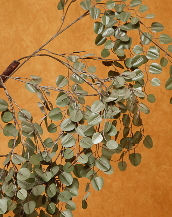 Faux Aspen Indoor Tree