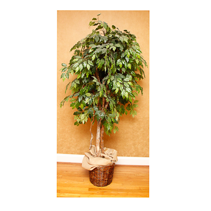 Faux Ficus Indoor Tree