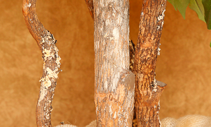 Faux Ficus Indoor Tree