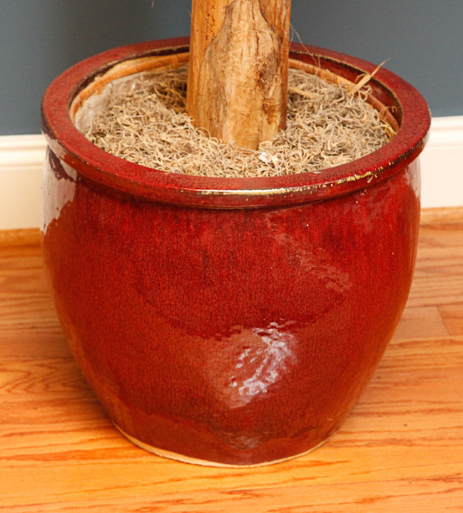 Artificial Banana Plant