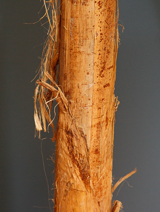 Artificial Banana Plant