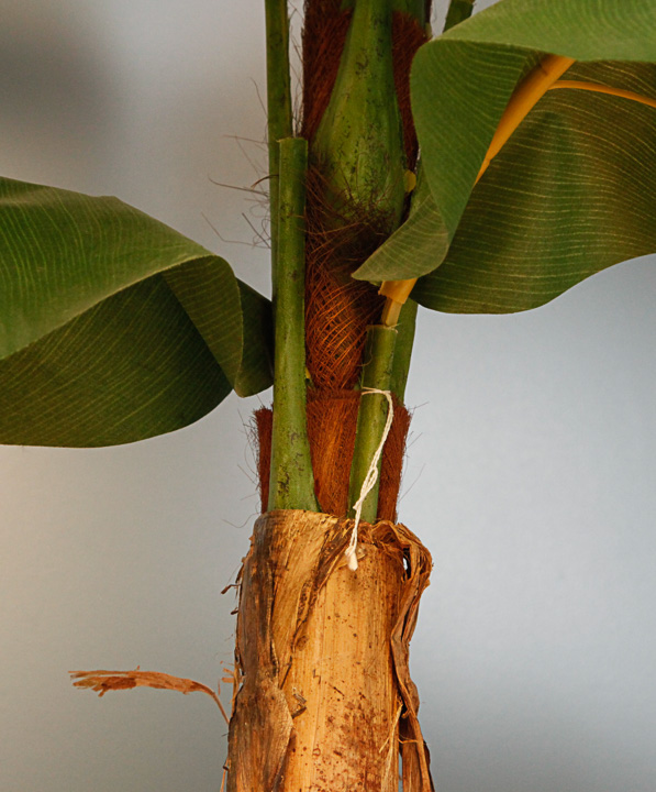 Artificial Banana Plant