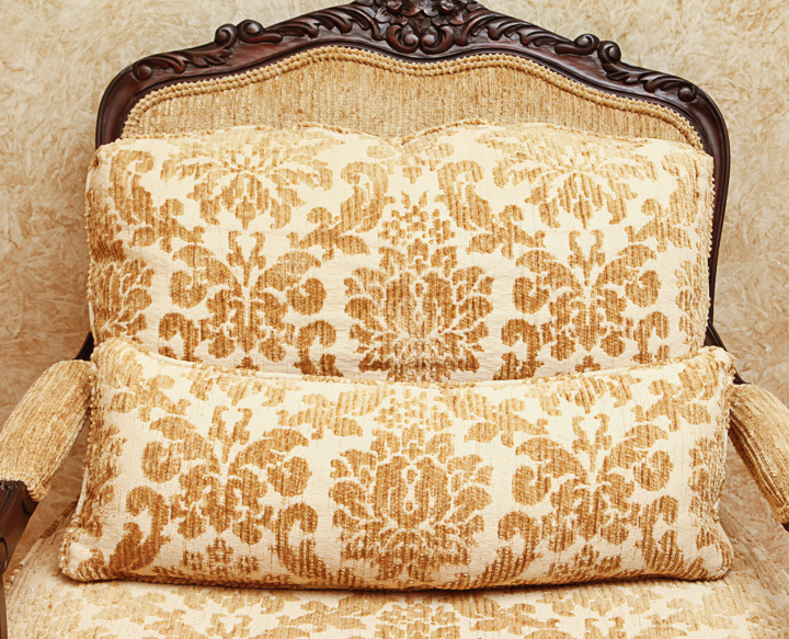 Louis XV Style Fauteuil Armchair with Matching Pillow