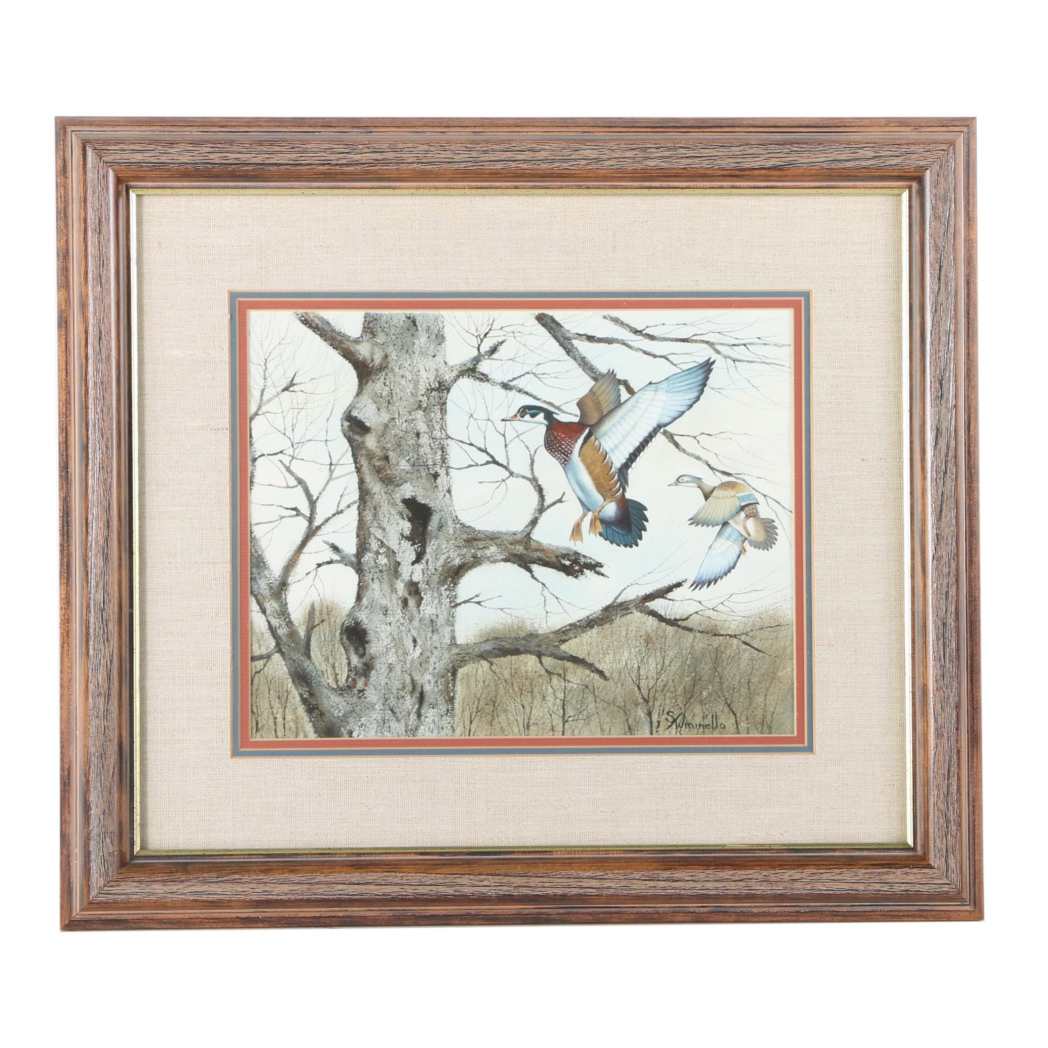 Sam Tuminello Watercolor of Wood Ducks