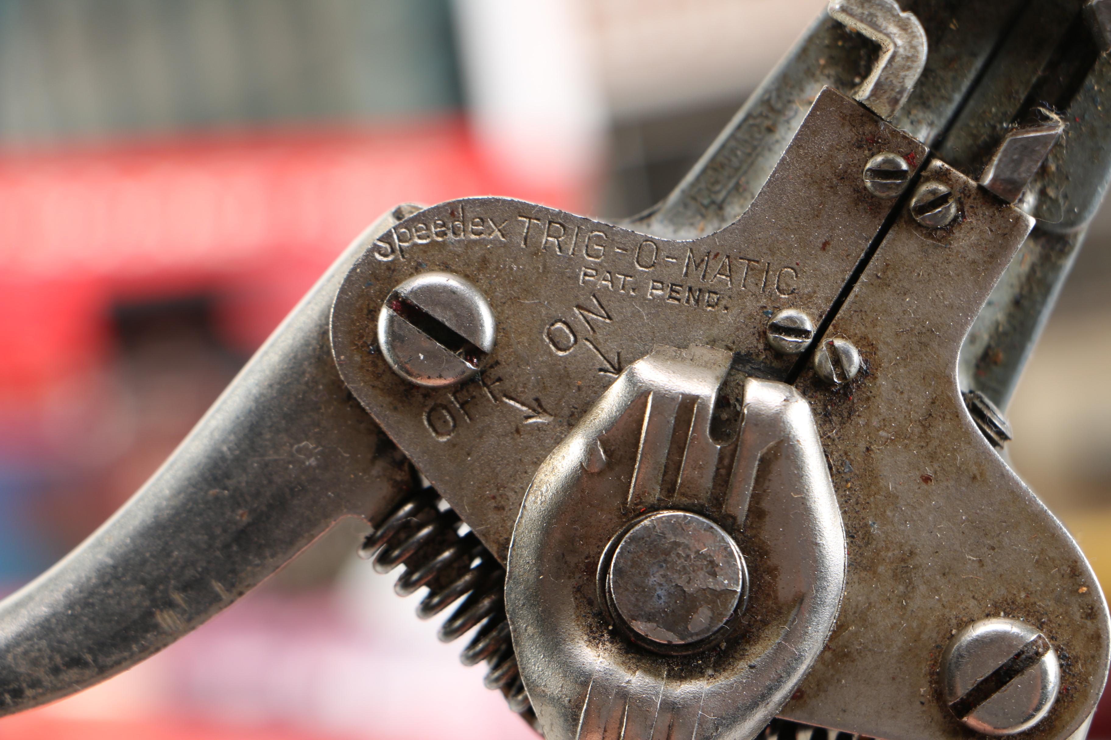 Assorted Small Shop Tools