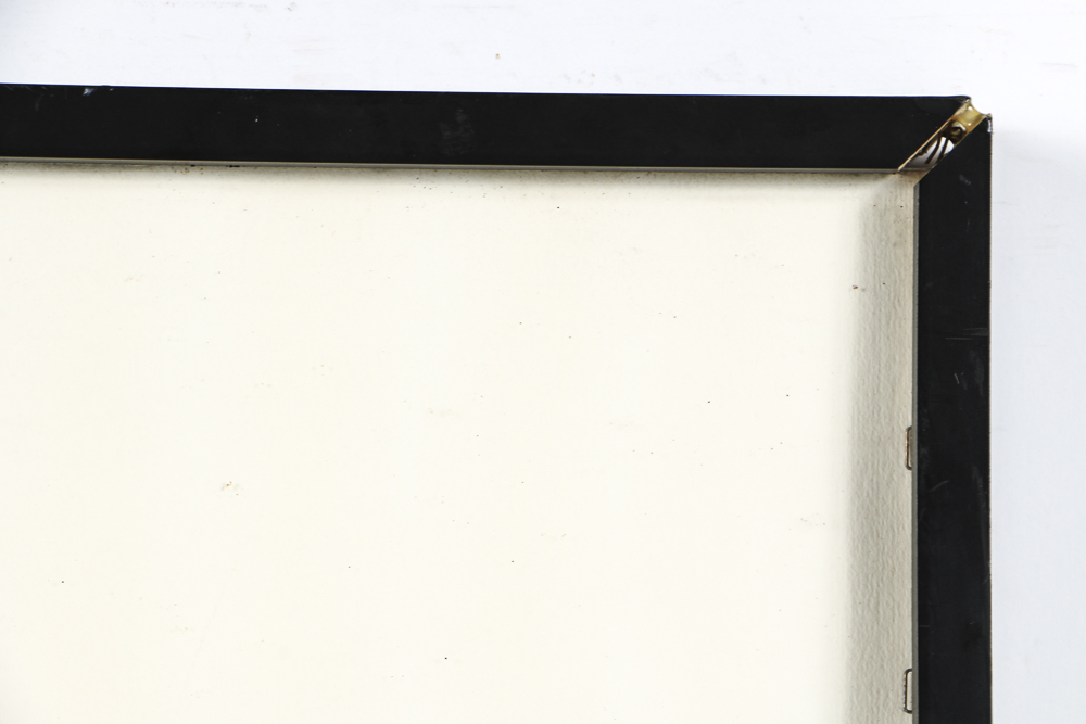 Clemence Wescoupe Limited Edition Serigraph on Paper "Rainbirds"