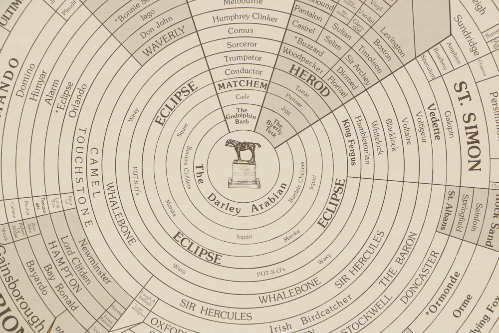 Offset Lithograph Poster "Prominent Sire Lines In America"
