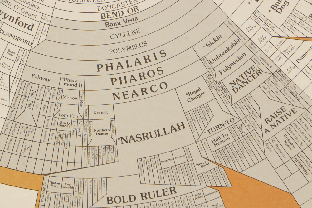 Offset Lithograph Poster "Prominent Sire Lines In America"