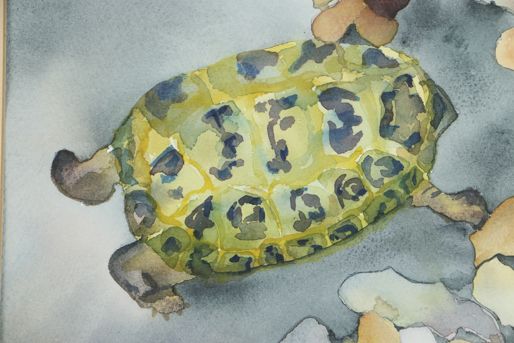 1984 Watercolor Painting on Paper of a Tortoise