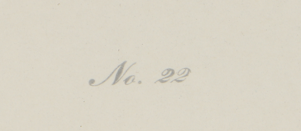 Lithograph After John James Audubon's "Prothonotary Swamp Warbler"