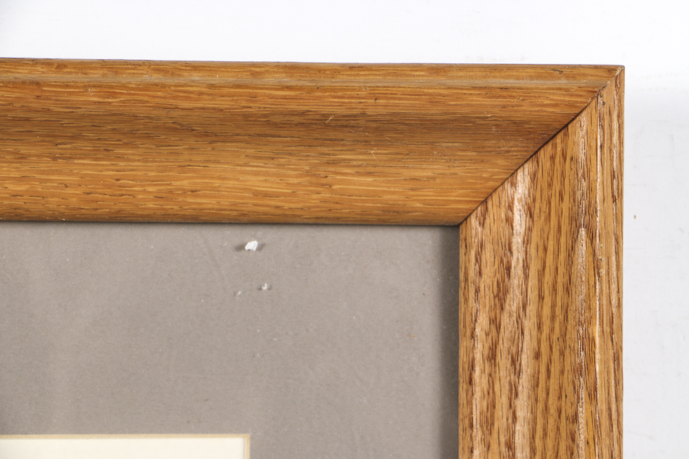 Lithograph After John James Audubon's "Prothonotary Swamp Warbler"