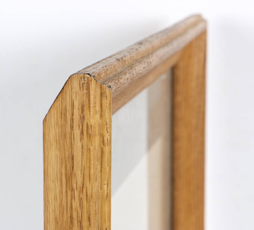 Lithograph After John James Audubon's "Prothonotary Swamp Warbler"