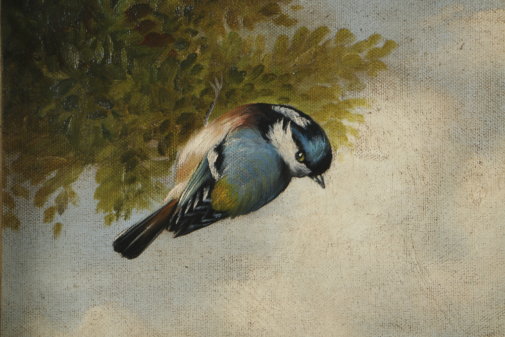 Tyson Oil Painting on Canvas of Birds