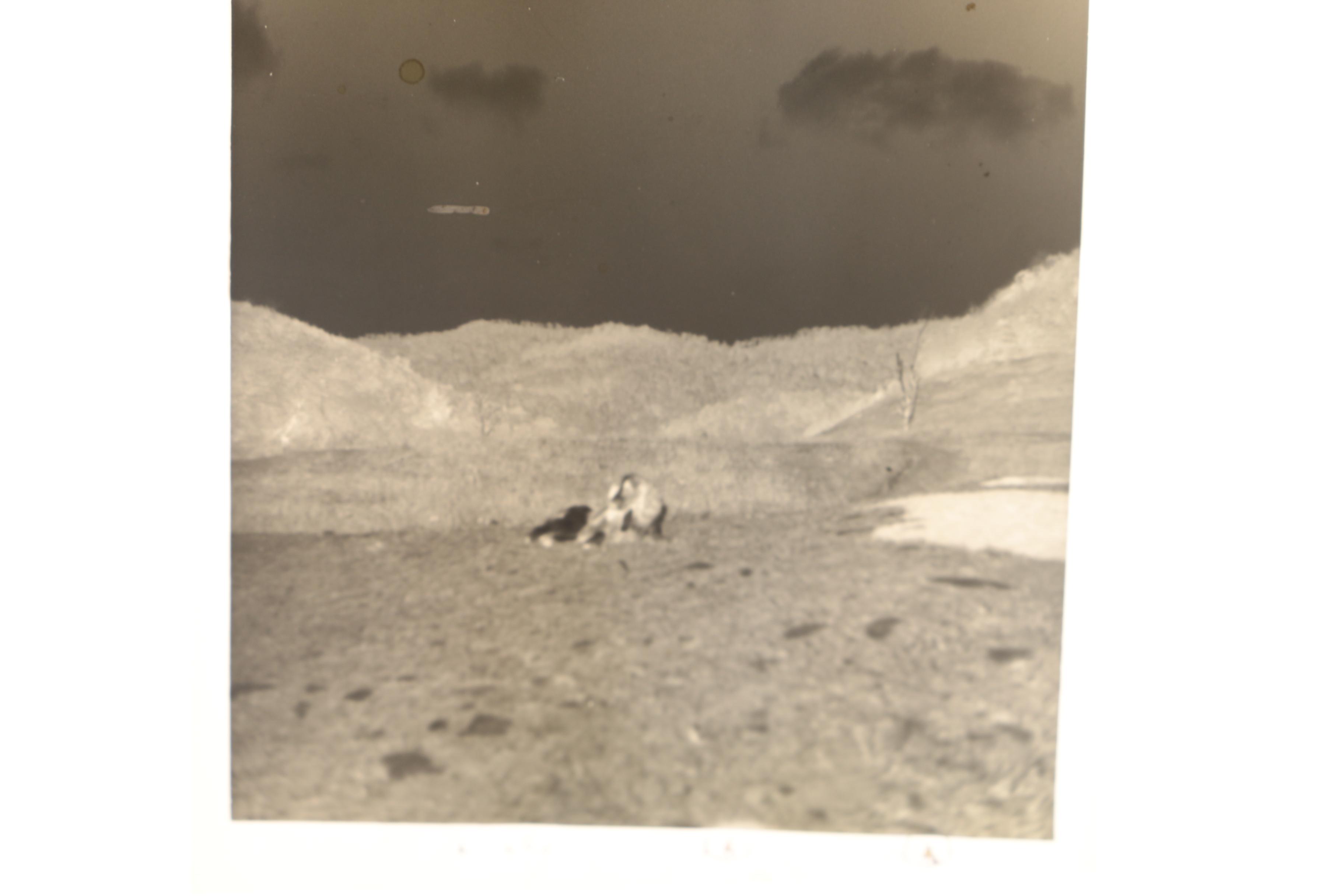 Assorted Vintage Photos and Postcards Collection