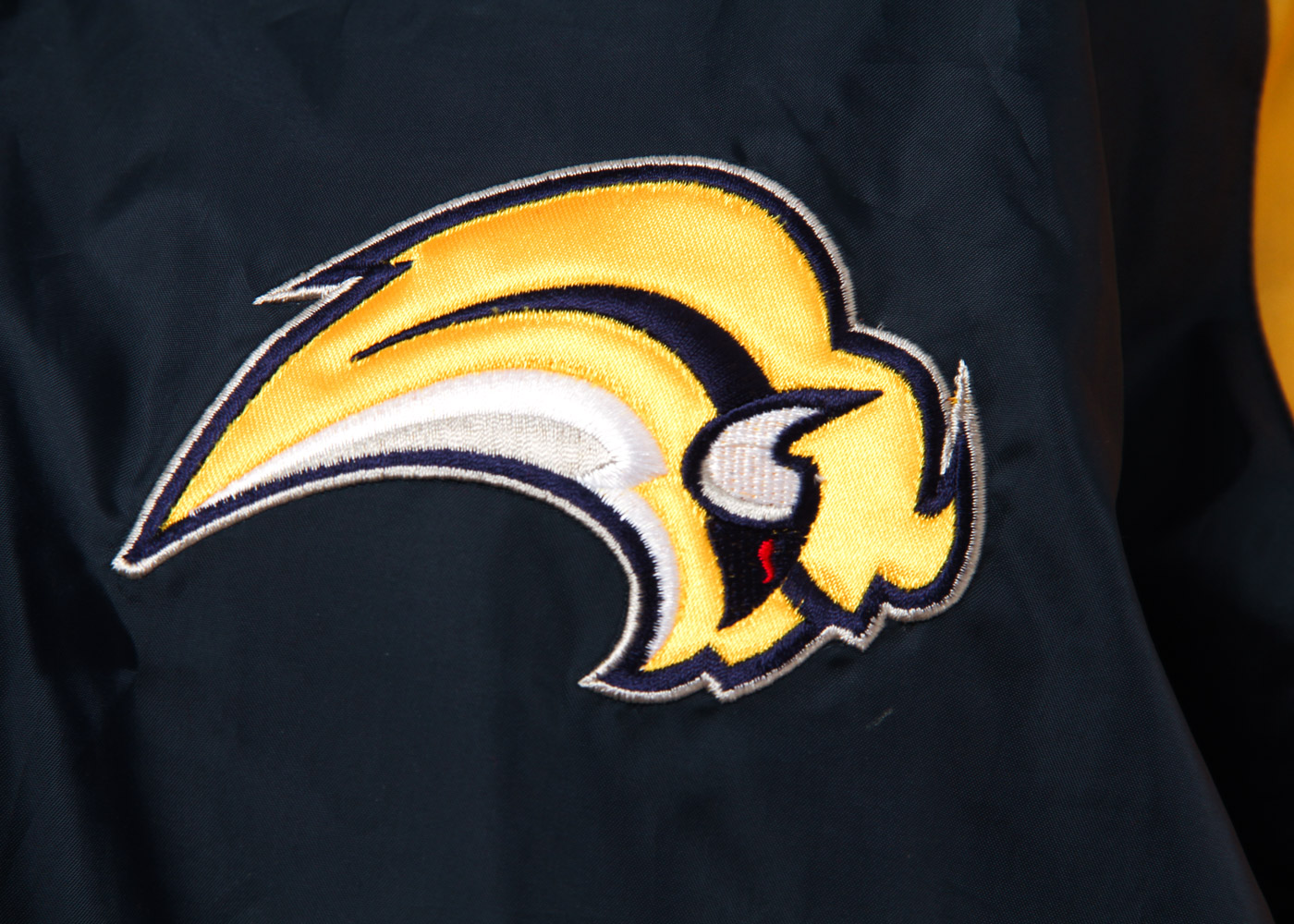 Set of Contemporary Men's Athletic Jackets