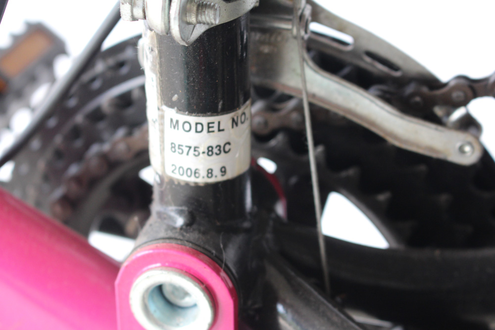 Women's Next Power Climber Mountain Bike with Schwinn Air Pump