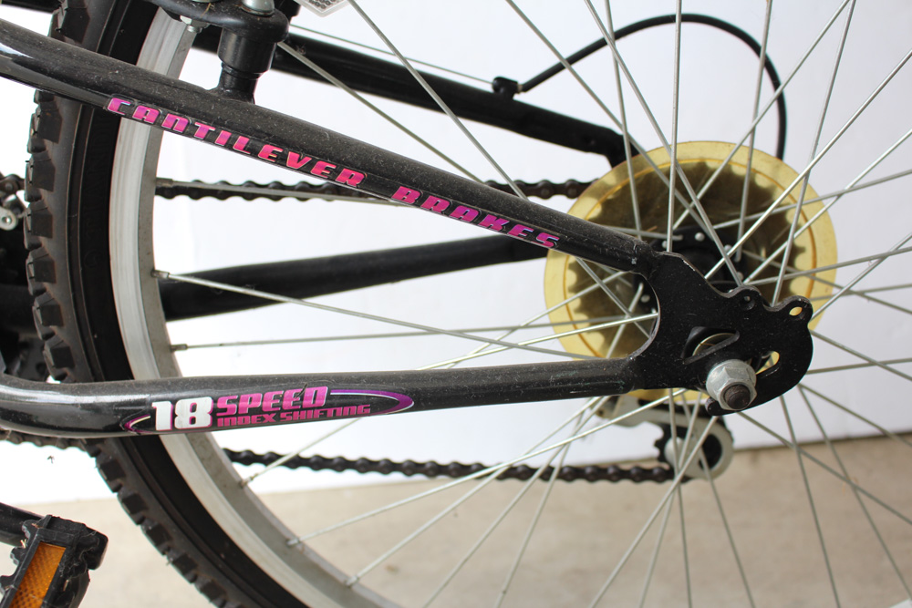 Women's Next Power Climber Mountain Bike with Schwinn Air Pump