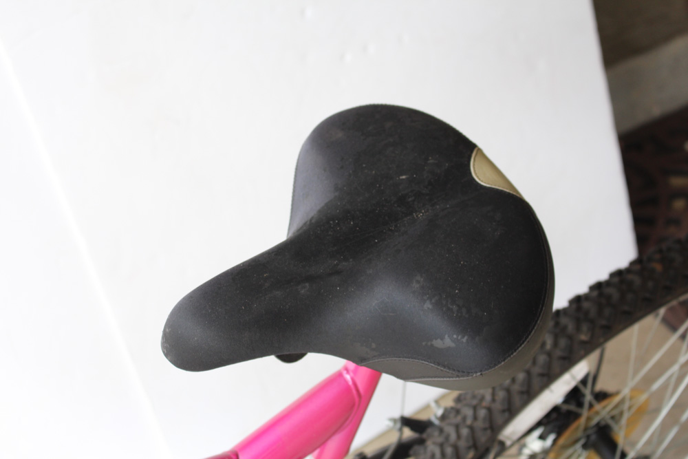 Women's Next Power Climber Mountain Bike with Schwinn Air Pump