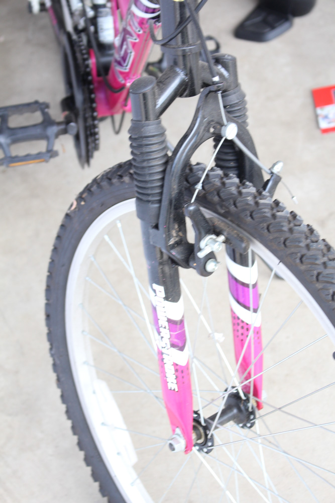 Women's Next Power Climber Mountain Bike with Schwinn Air Pump