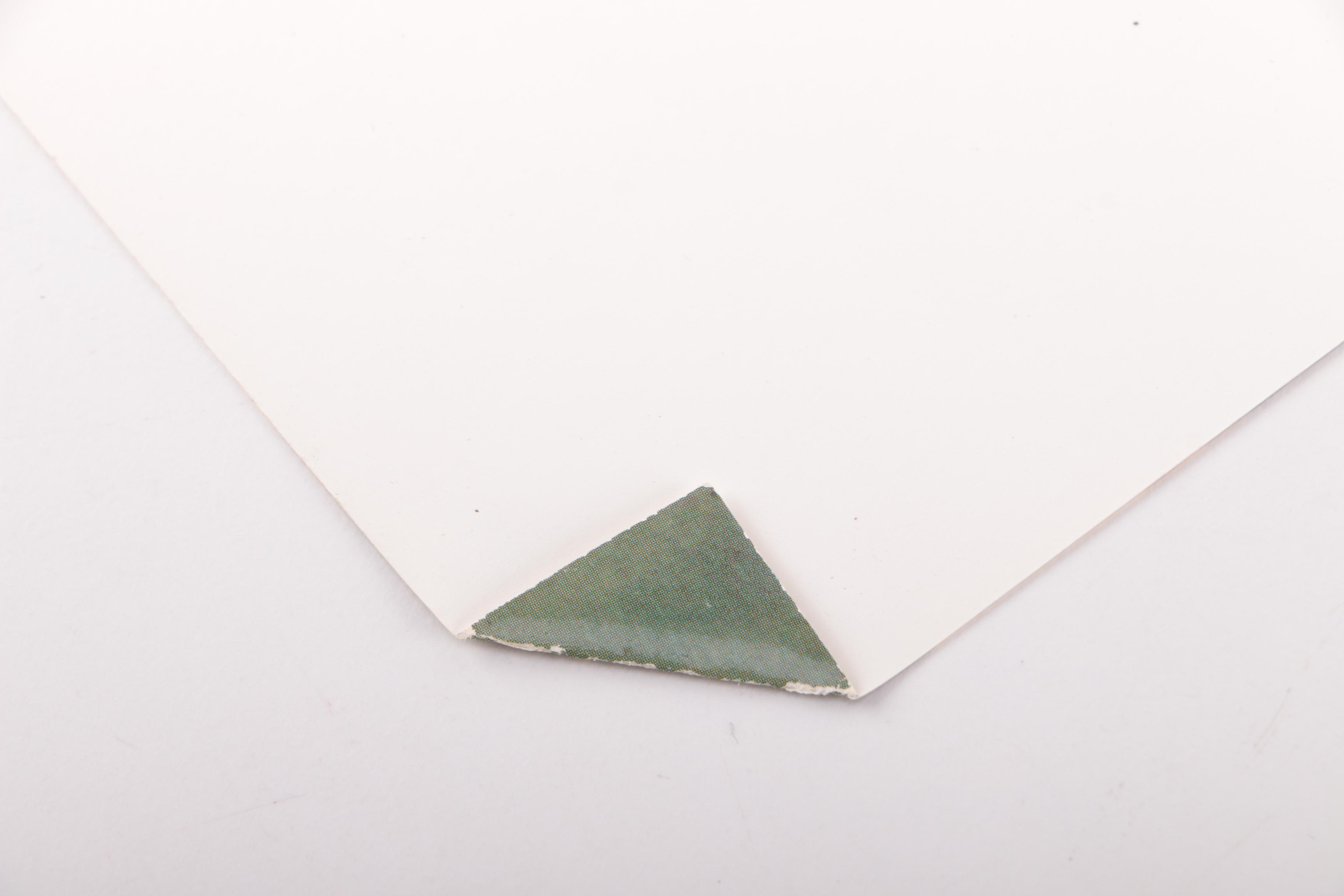 Offset Lithographs After Photographs Of Malcolm X by Alice Windom