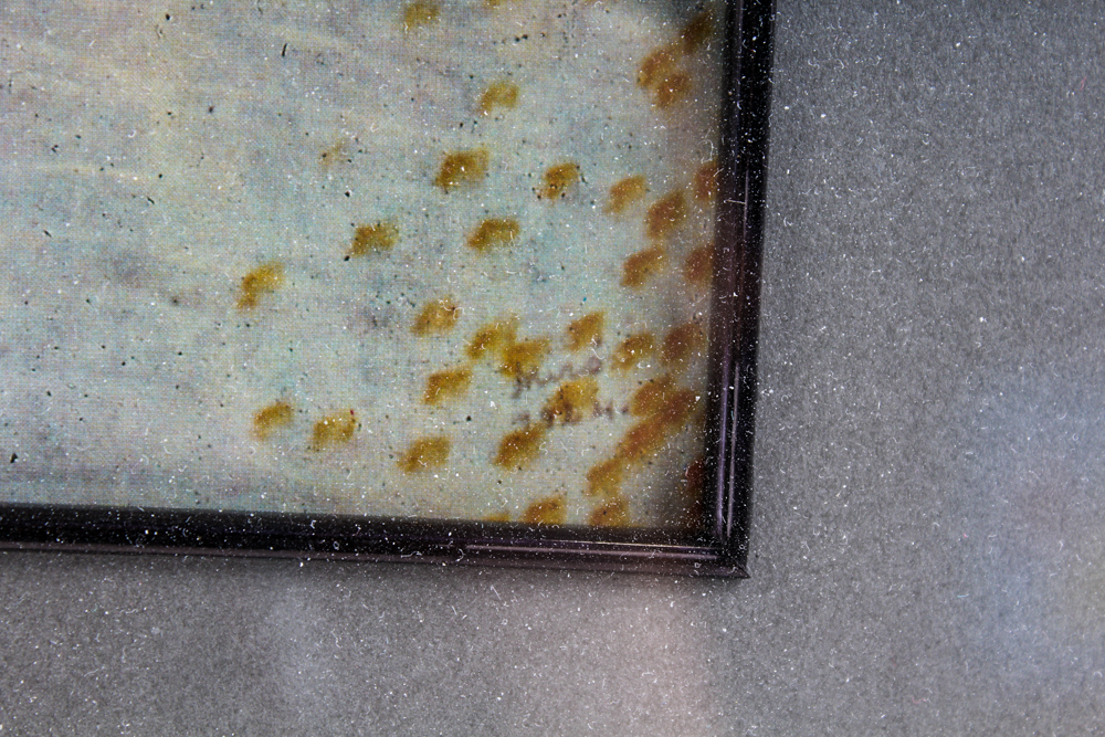 Joan Miro Offset Lithograph