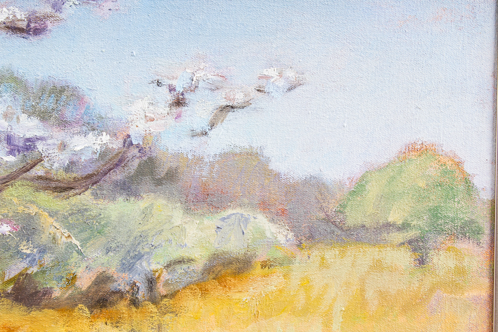 Patricia Jacobsen Oil on Canvas "Flowering Tree"