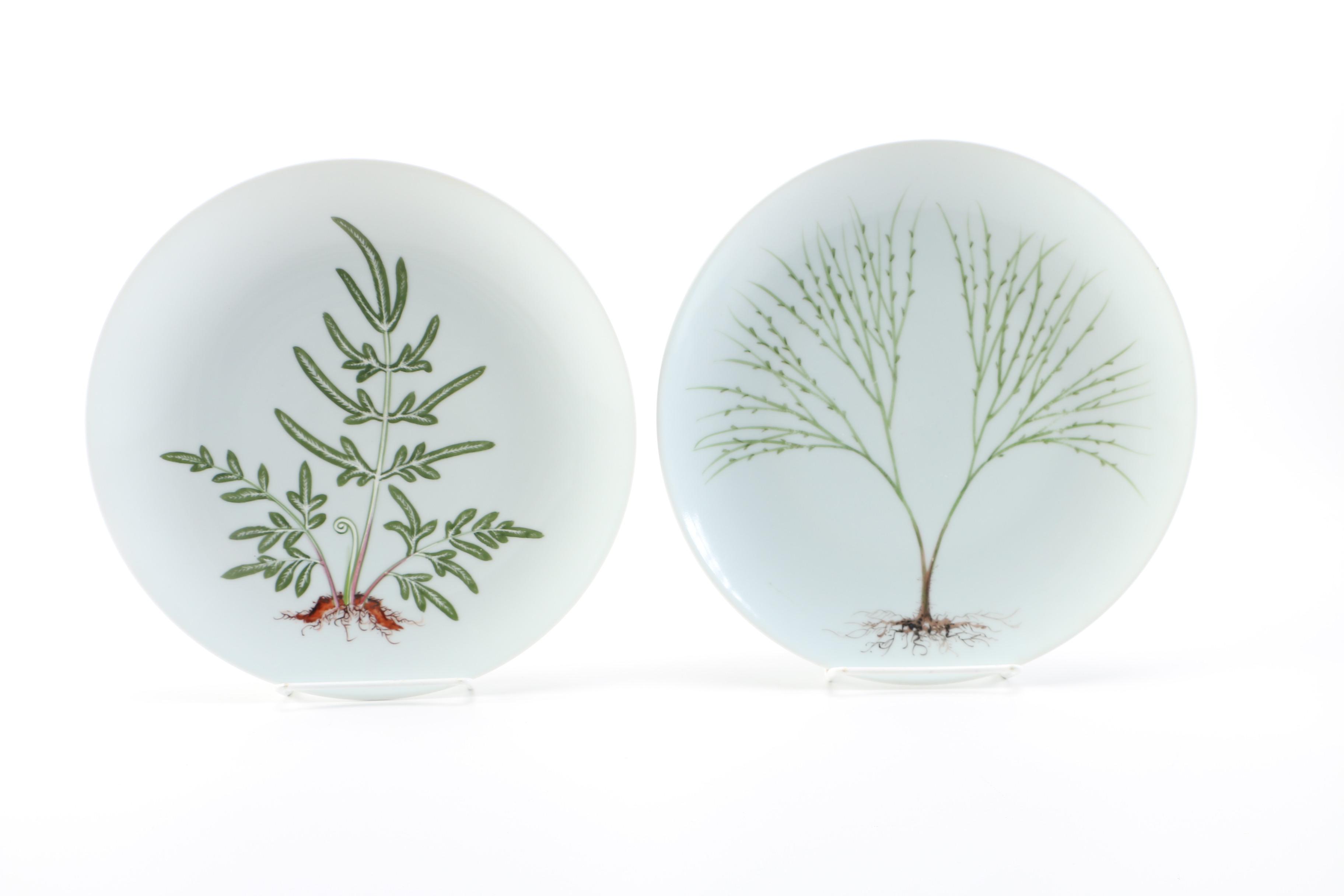 Plant Design Dinner Size Plates
