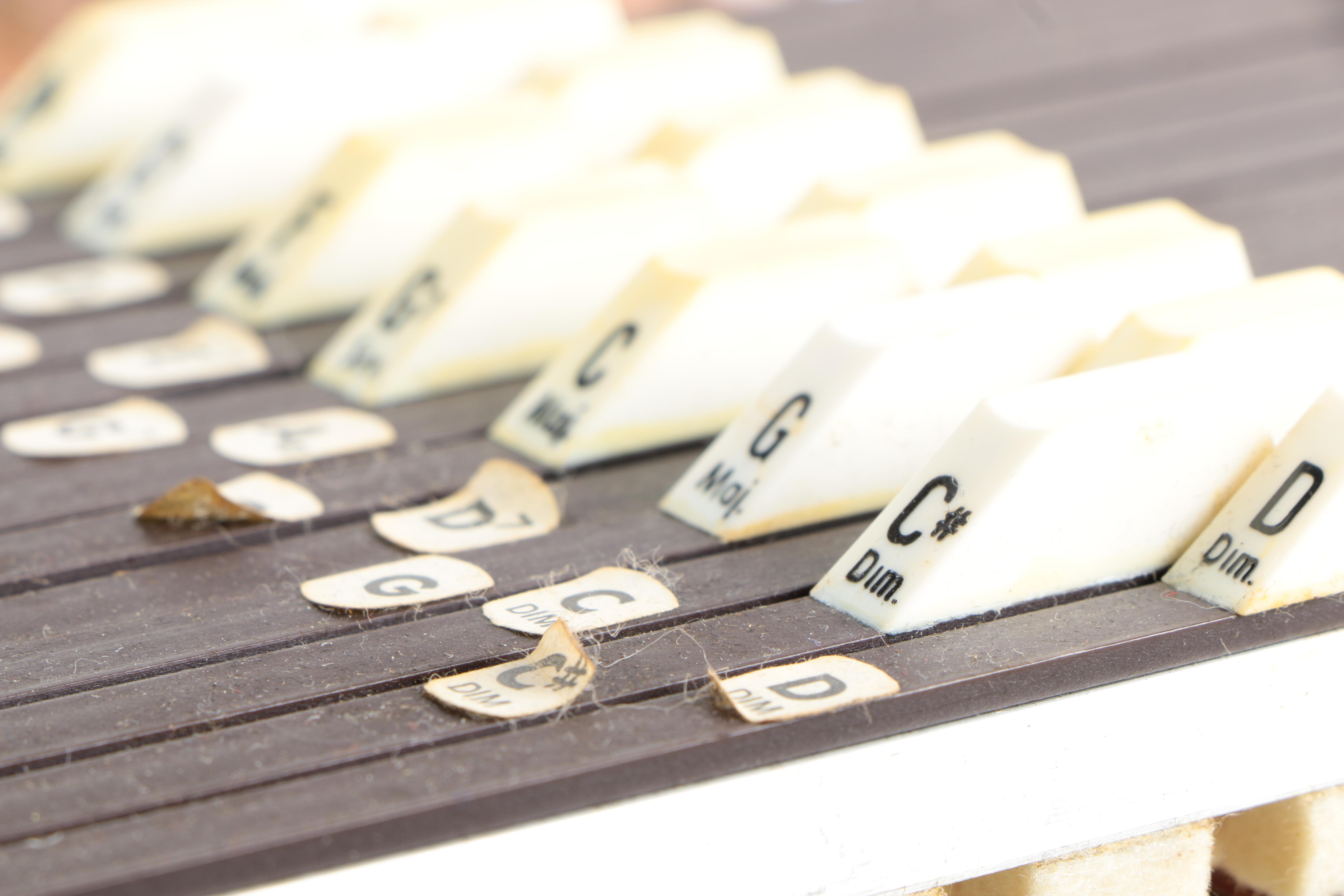 Oscar Schmidt Autoharp and Case