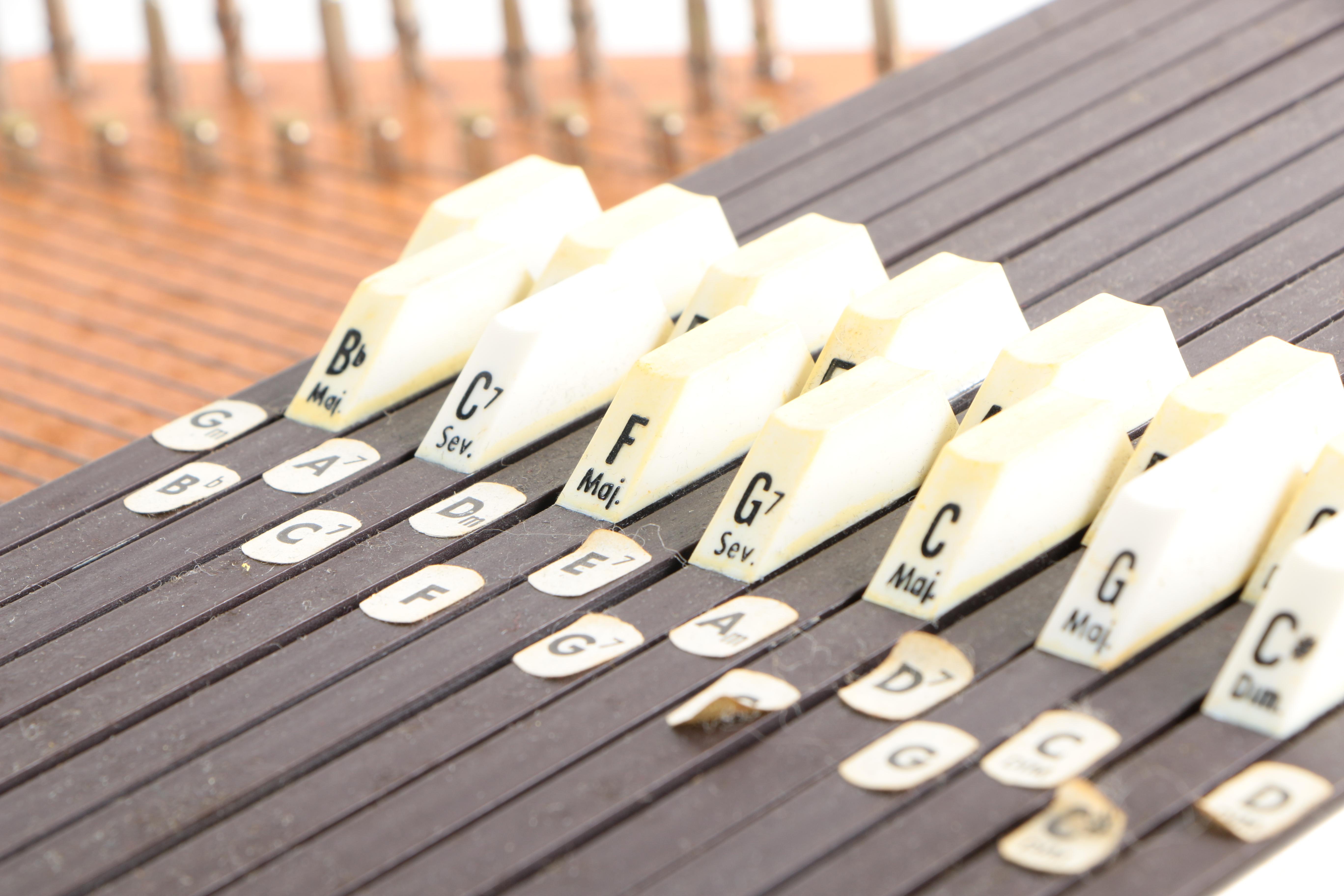 Oscar Schmidt Autoharp and Case